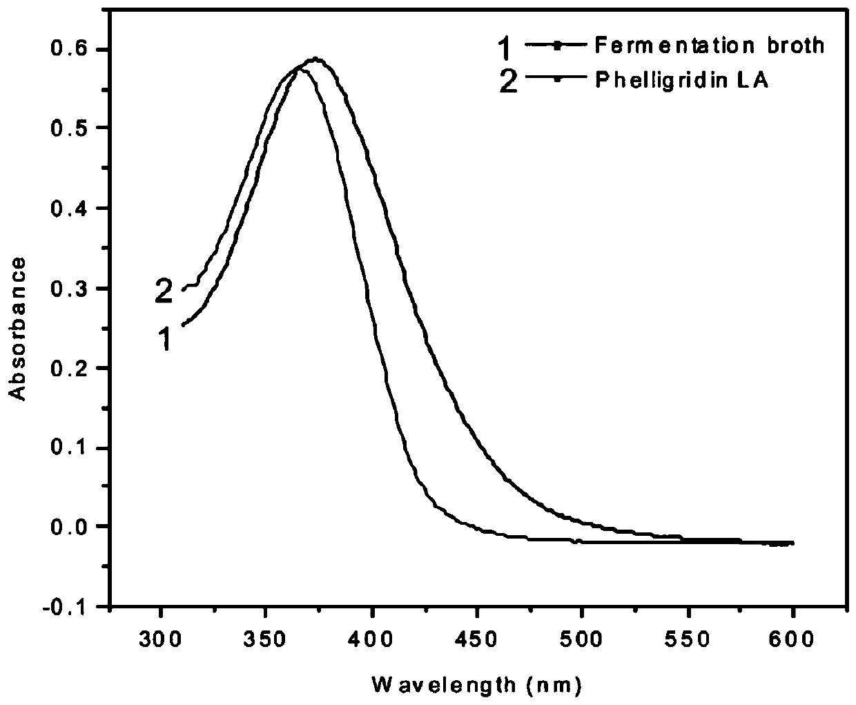 System and method for producing morin through phellinus igniarius fermentation and resin separation and coupling