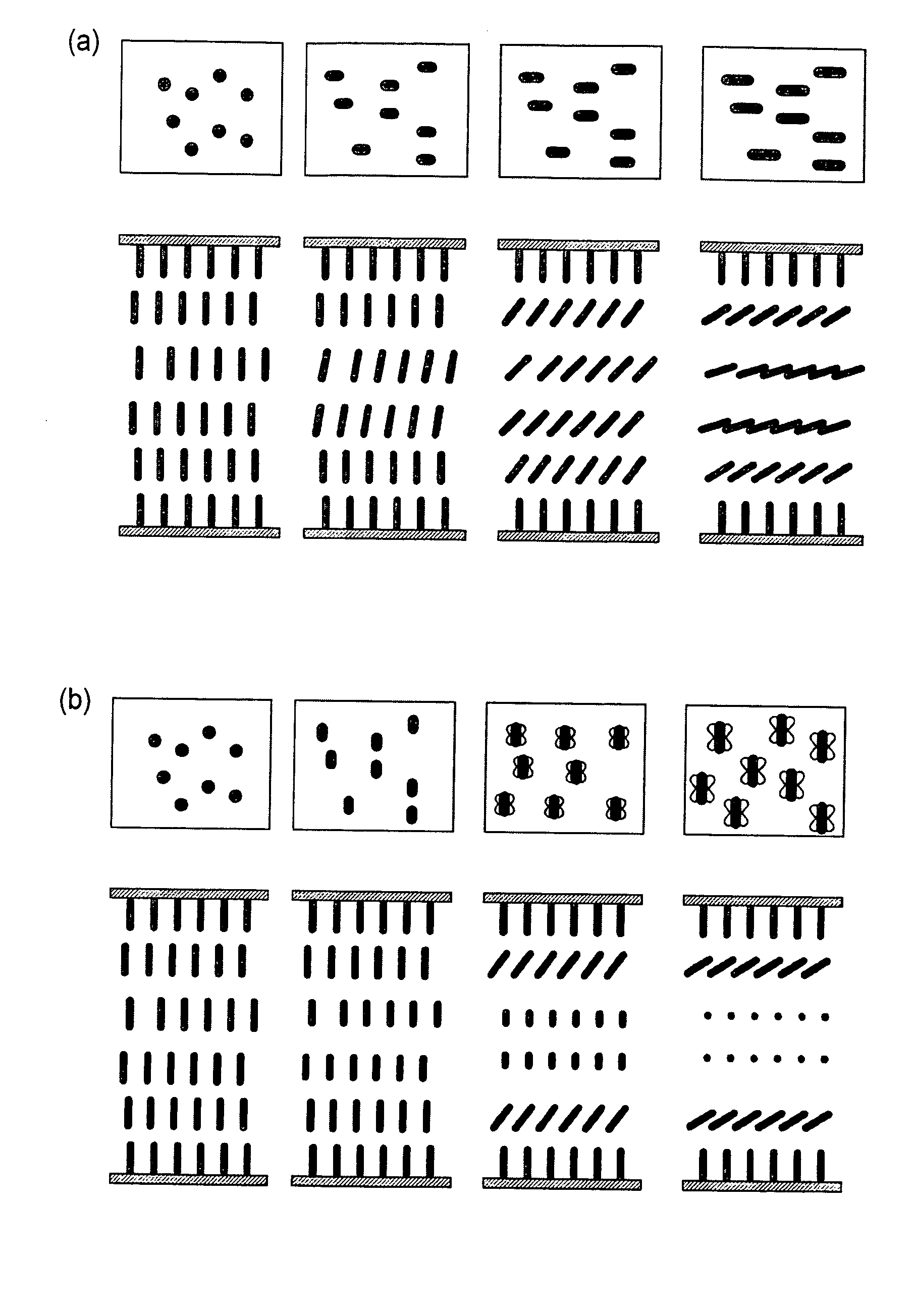 Color liquid crystal display device