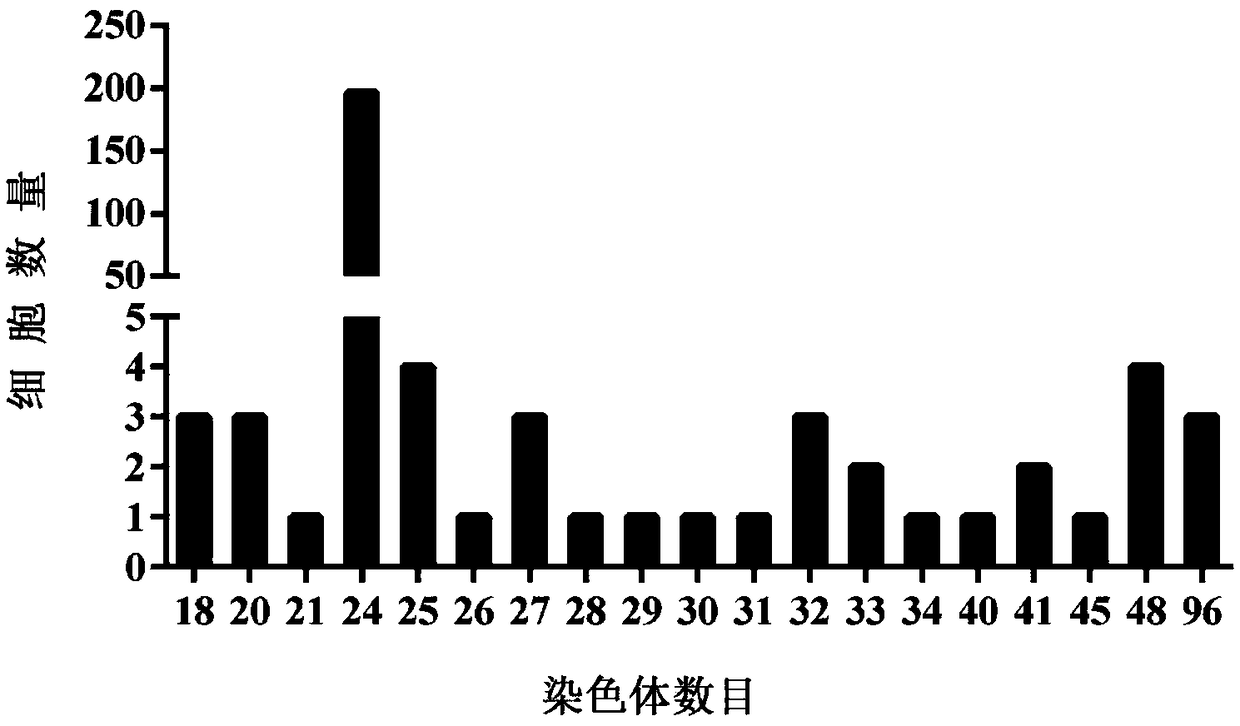 Preparation method and application of anti-red-spot grouper neuronecrosis virus (tcm) embryonic stem cells