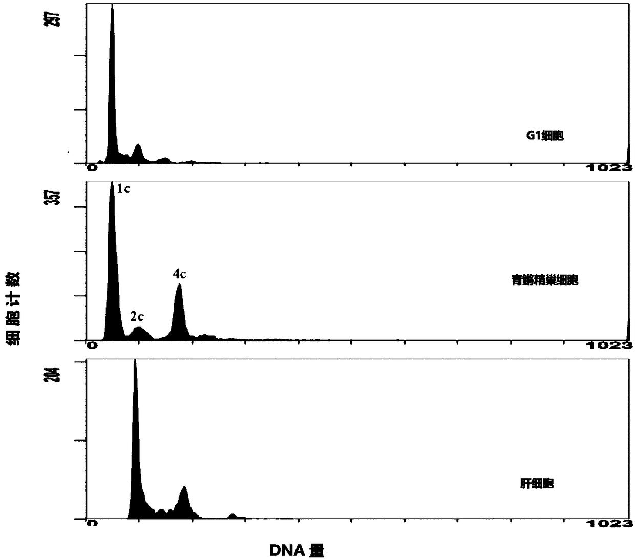 Preparation method and application of anti-red-spot grouper neuronecrosis virus (tcm) embryonic stem cells