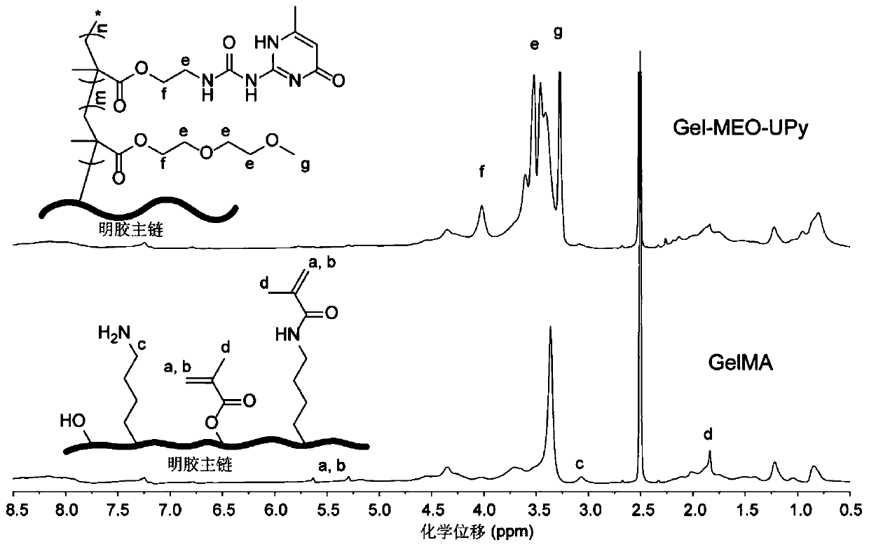 Temperature-sensitive polymer, synthesis method thereof and temperature-sensitive injectable hydrogel