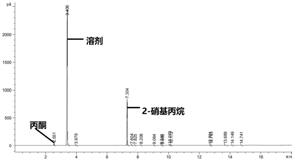 Method for continuously synthesizing 2-nitropropane by adopting slurry reactor