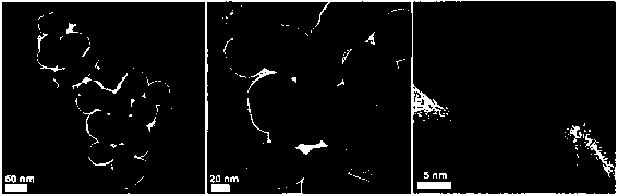 Preparation method of nano tin dioxide/carbon basis point/nano silver surface-enhanced Raman substrate