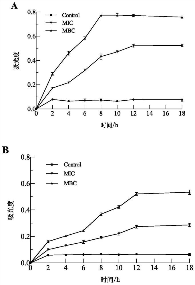 Purified ginkgo leaf flavone and antibacterial application thereof