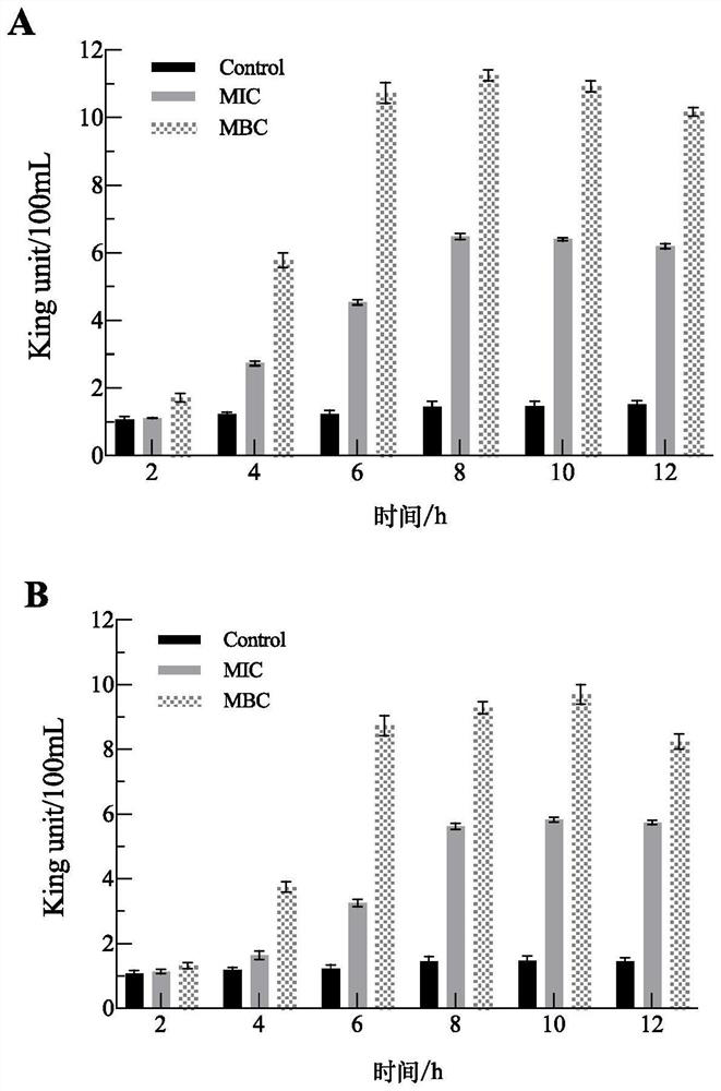 Purified ginkgo leaf flavone and antibacterial application thereof