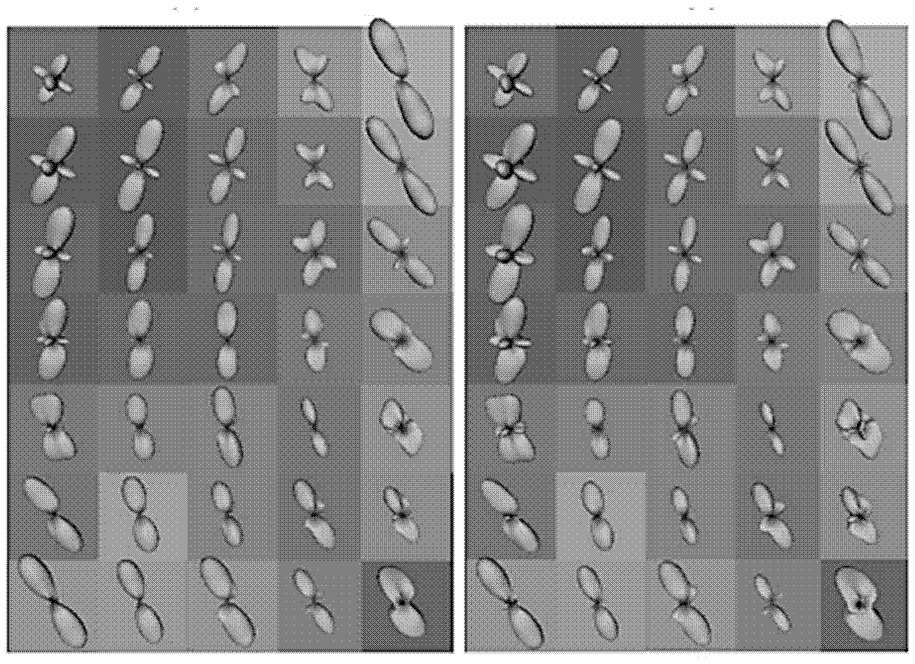 Method for estimating white matter fiber direction through diffusion magnetic resonance images