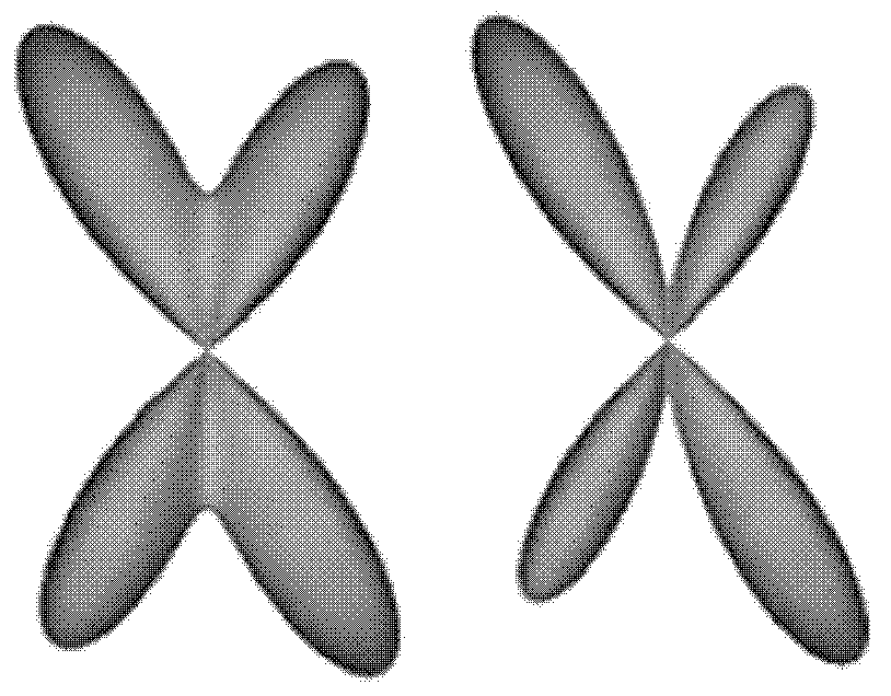 Method for estimating white matter fiber direction through diffusion magnetic resonance images