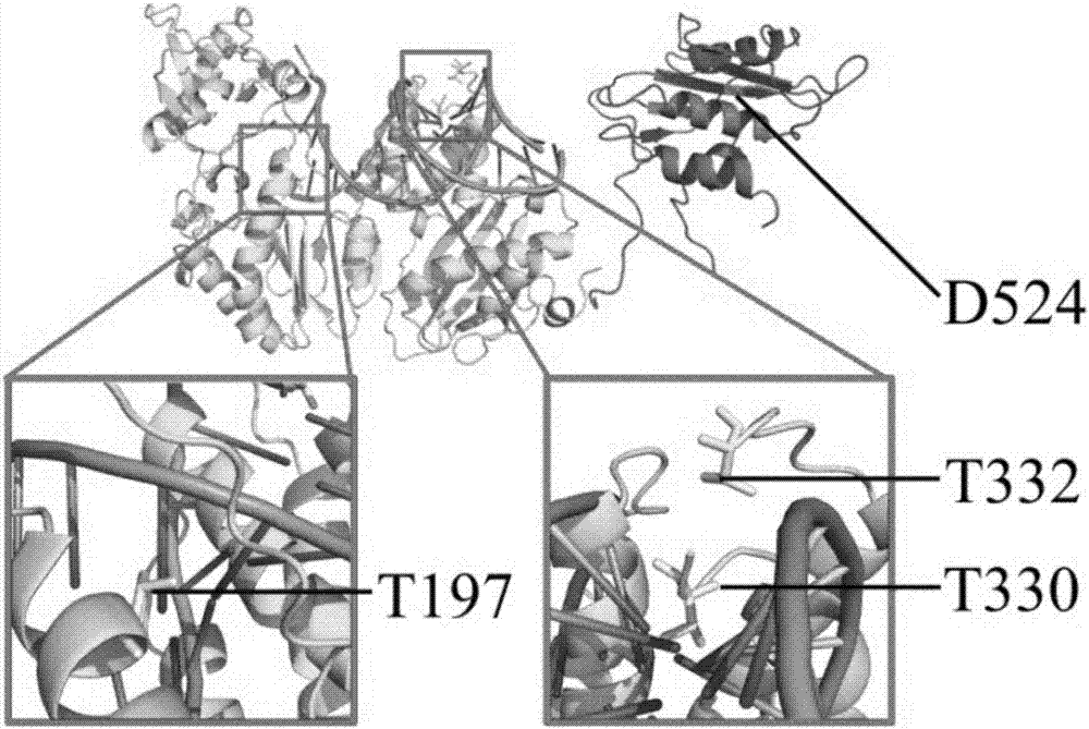 A method of preparing high-performance M-MLV reverse transcriptase