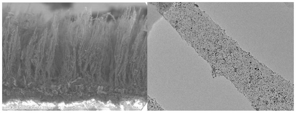 Method for growing high-entropy alloy nanoparticles on flexible substrate