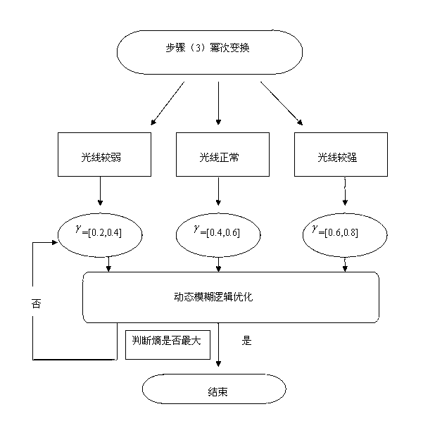 Method for dynamically calibrating image light intensity on basis of environmental factors