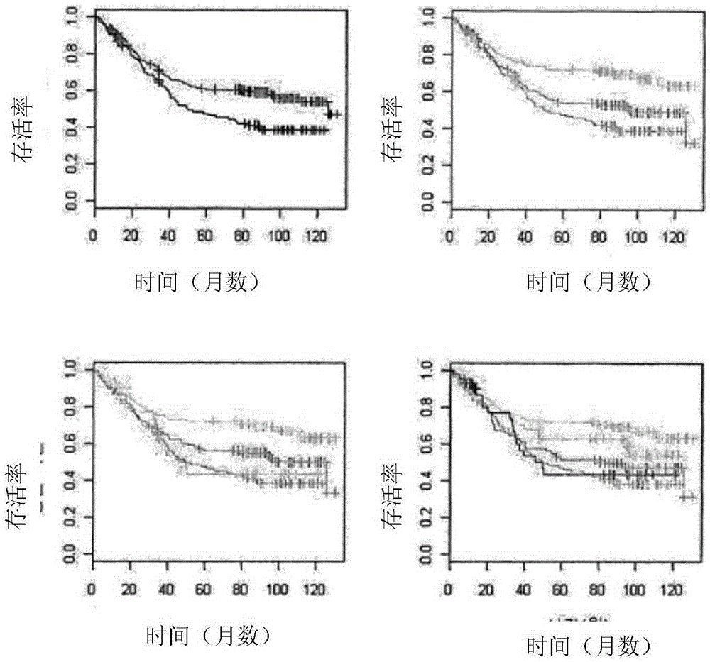 Method for manufacturing gastric cancer prognosis prediction model