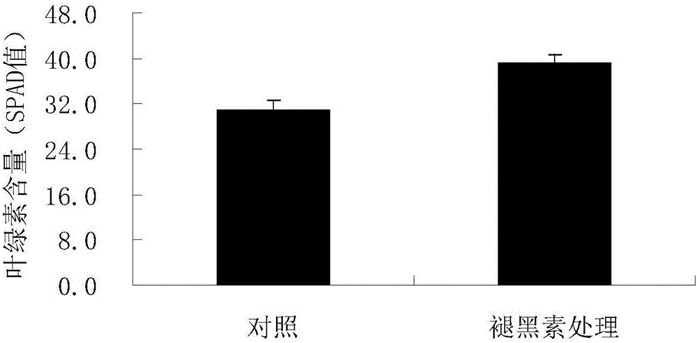 Method of using melatonin to improve acid-aluminum resistance of medicago sativa