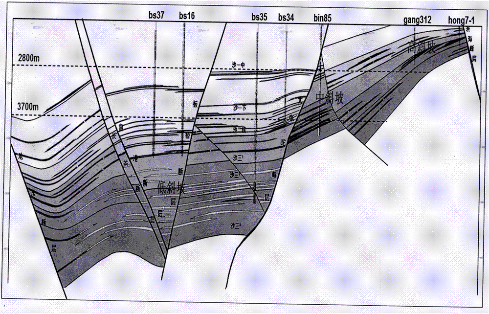 Continental lacustrine basin slope area stratum lithologic oil and gas reservoir dominant facies prediction method