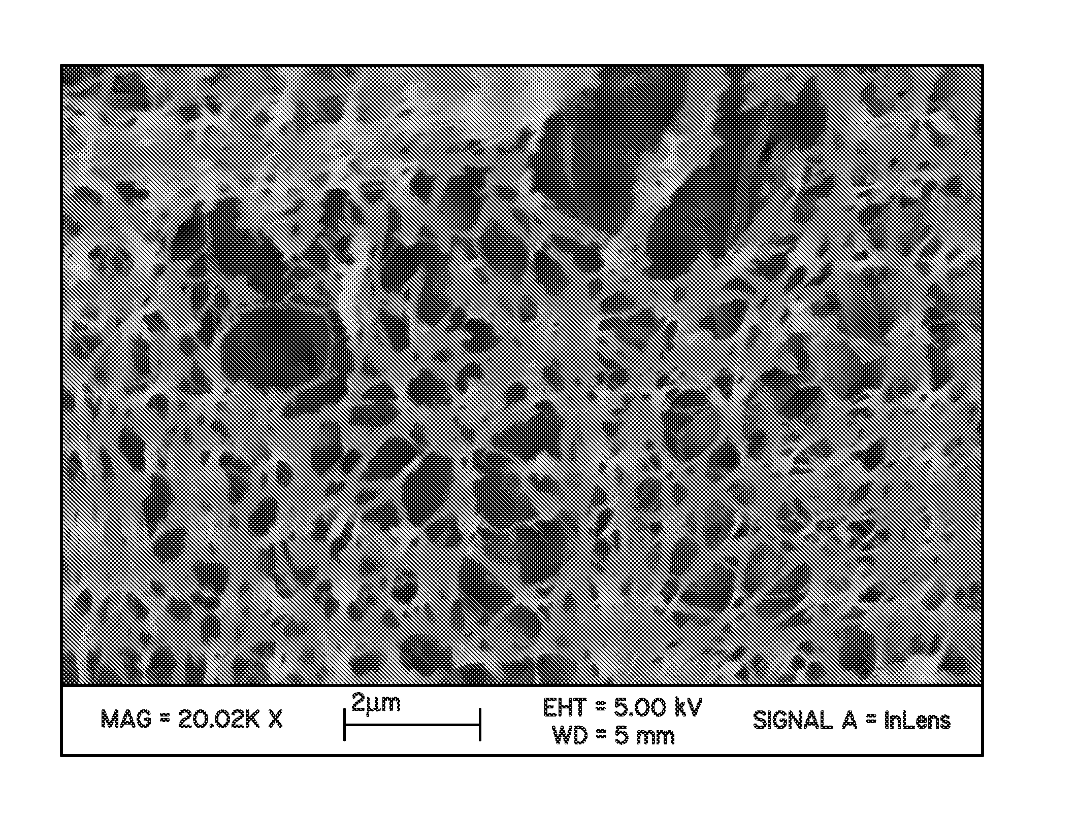 Perfluorocyclobutane crosslinked hydrogels