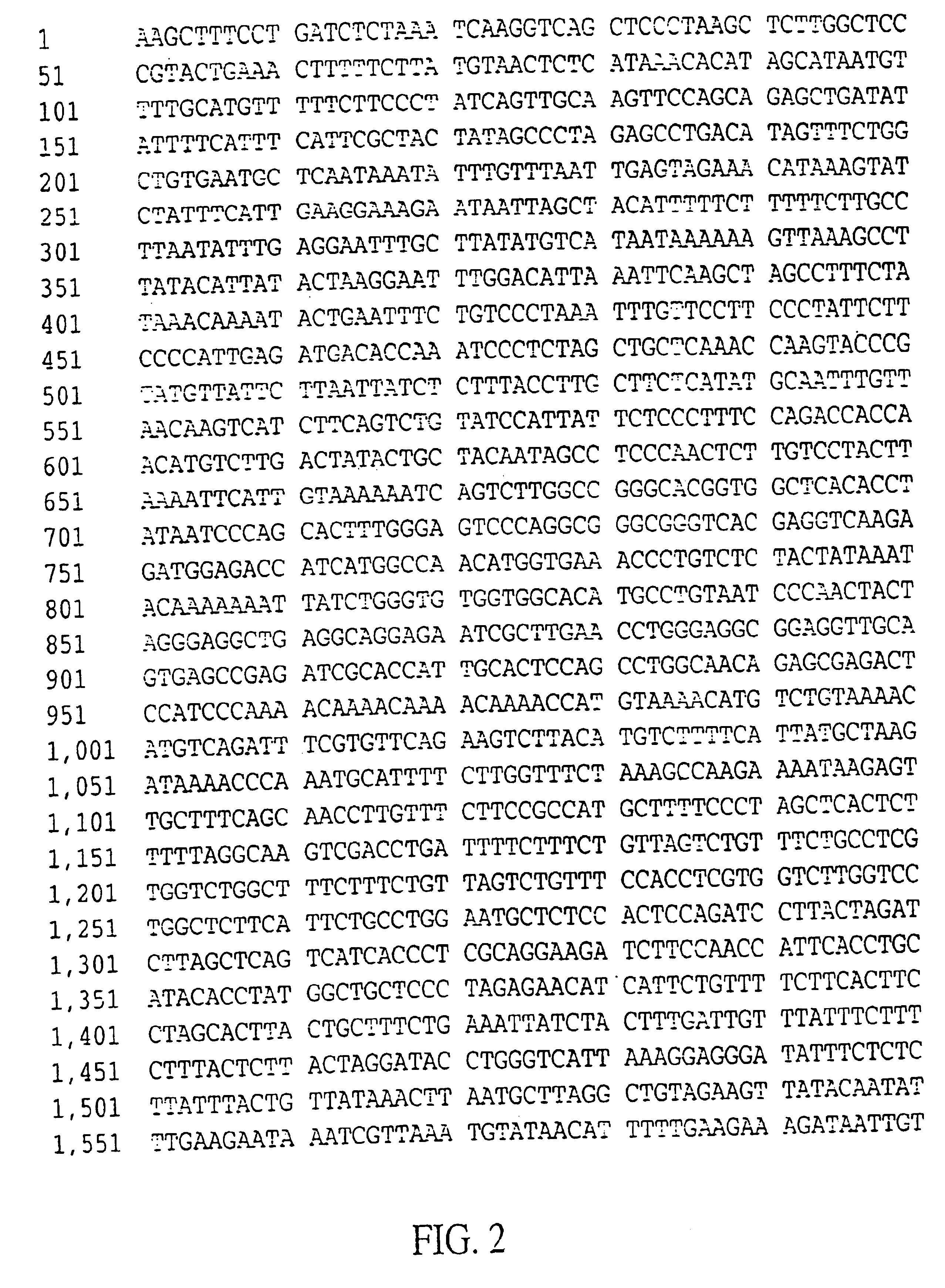 Gene family with transformation modulating activity