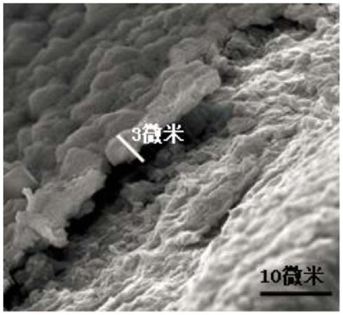 Preparing method of antibacterial three-dimensional porous bone implantation material