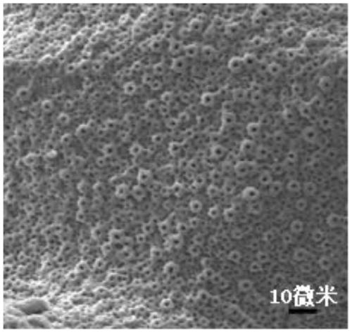 Preparing method of antibacterial three-dimensional porous bone implantation material