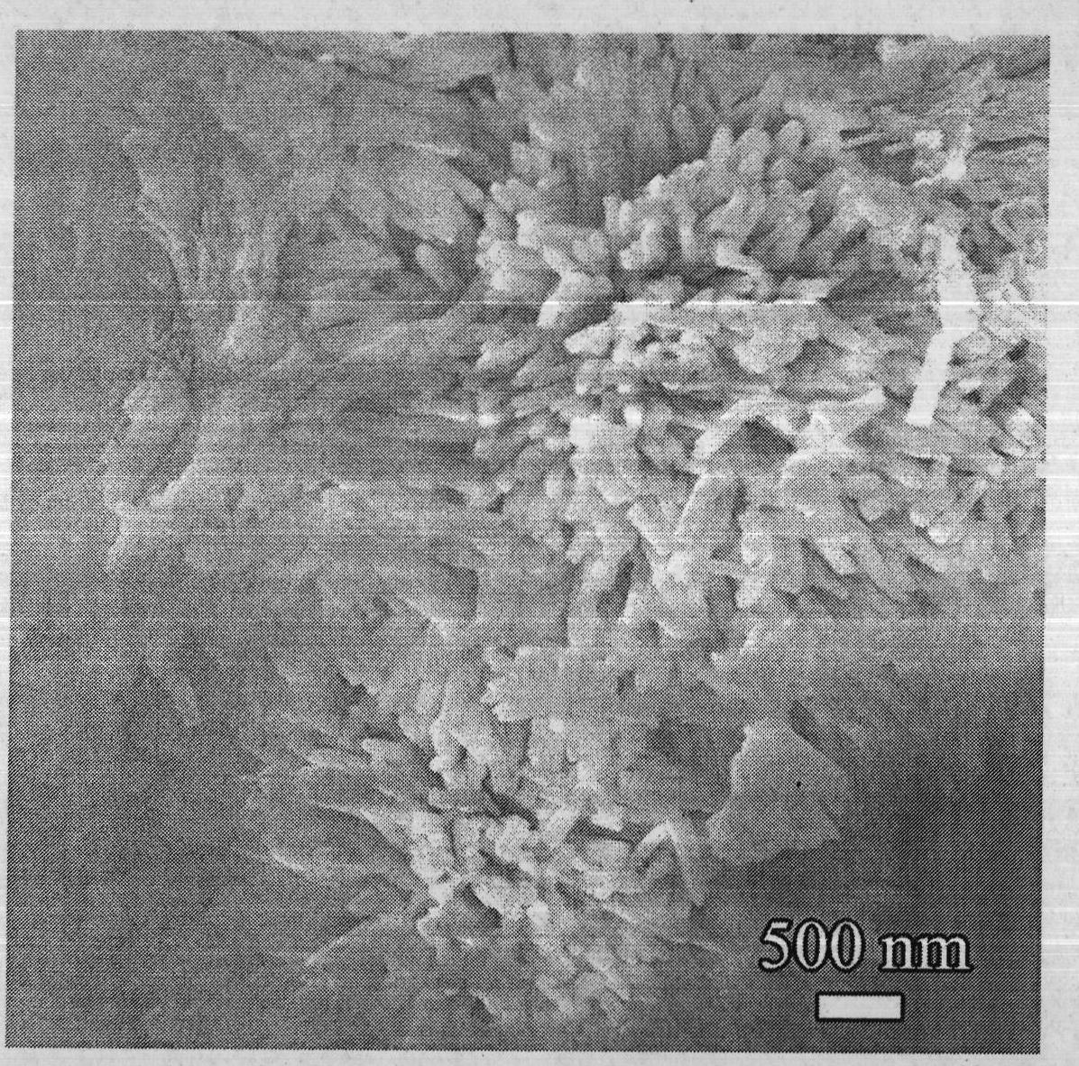 Method for synthesizing metal molybdate micron/nano materials by adopting microwave radiation method