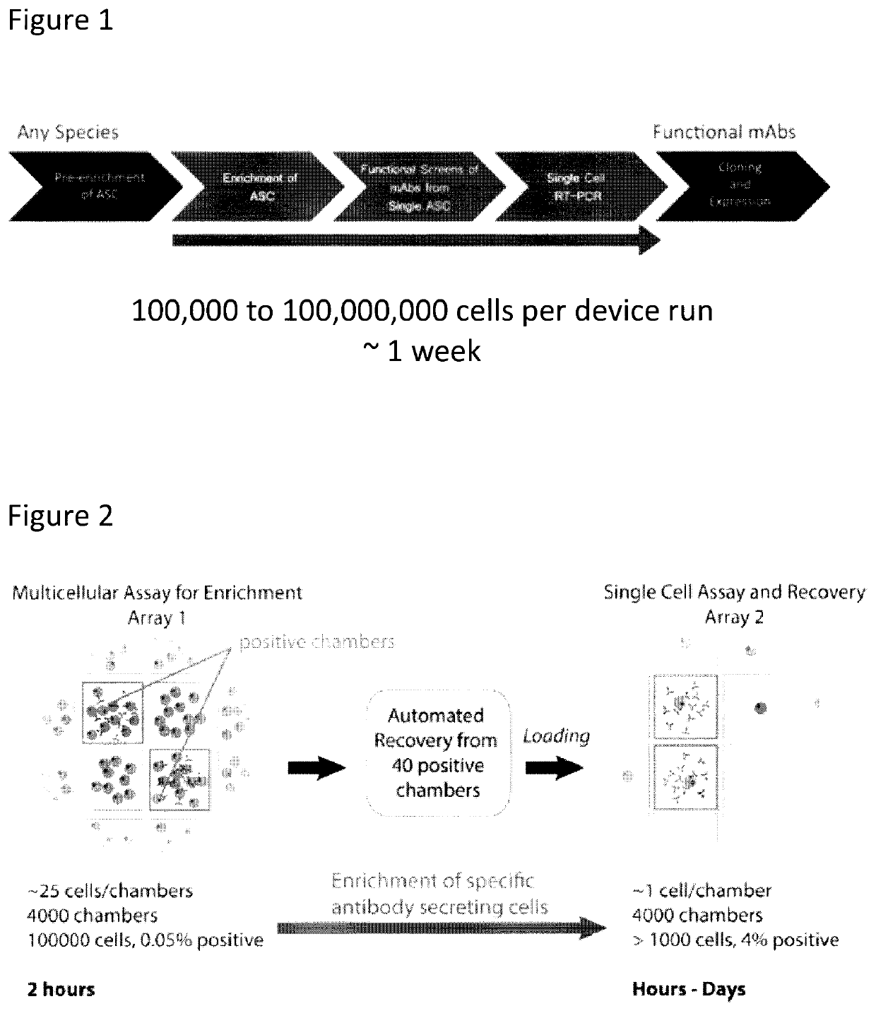 Devices and methods for cellular secretion analysis