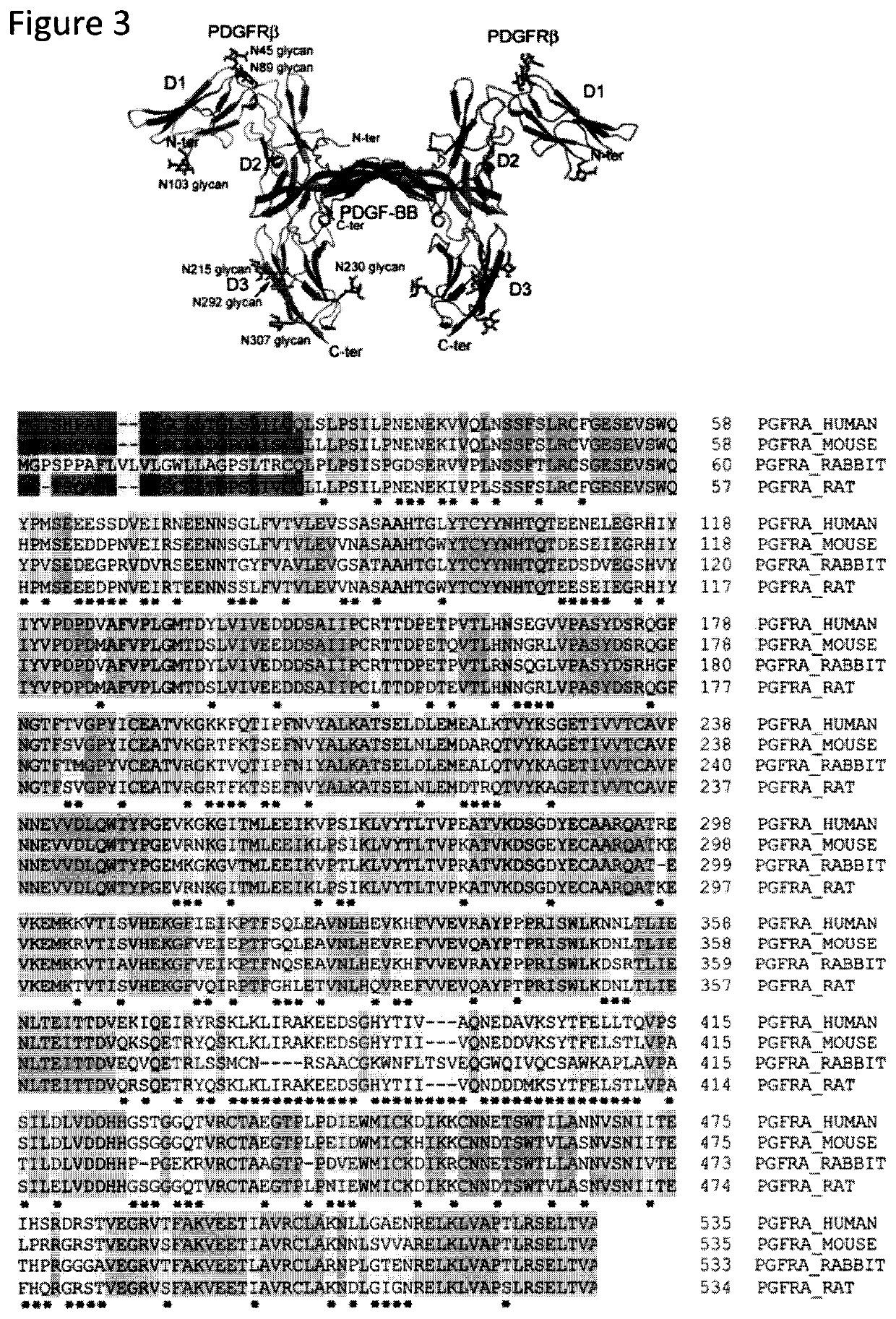 Devices and methods for cellular secretion analysis