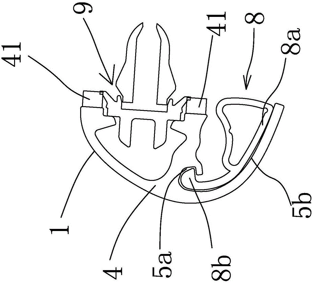 Side edge frame decorative strip assembly