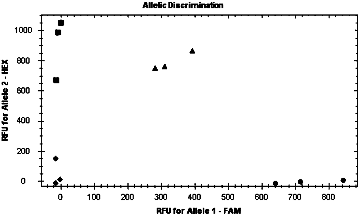 Primer set for detecting genotyping of acetaldehyde dehydrogenase 2, reagent, kit and detection method and application