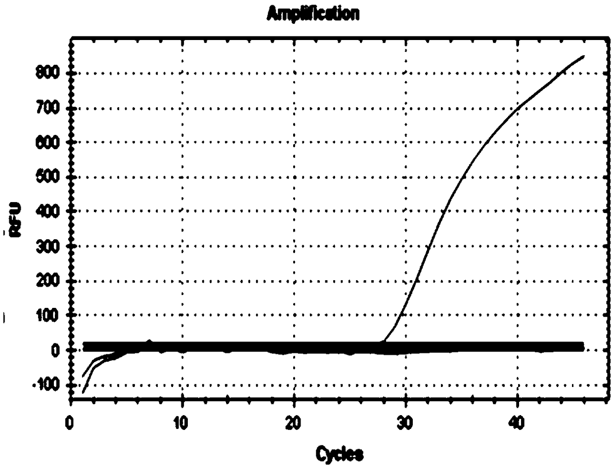 Primer set for detecting genotyping of acetaldehyde dehydrogenase 2, reagent, kit and detection method and application