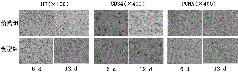 Natural Qiang medicine spray and preparation method thereof