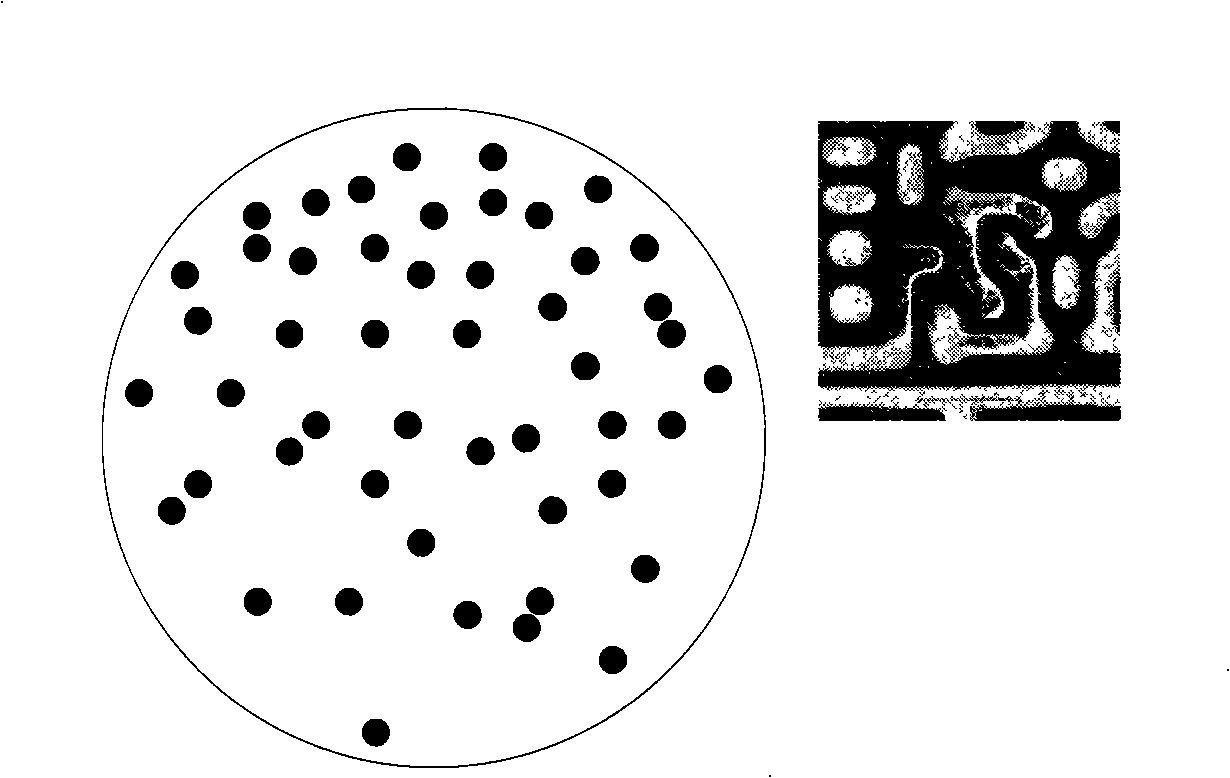 Method for cleaning abnormal residual on wafer rear surface after Cu CMP procedure