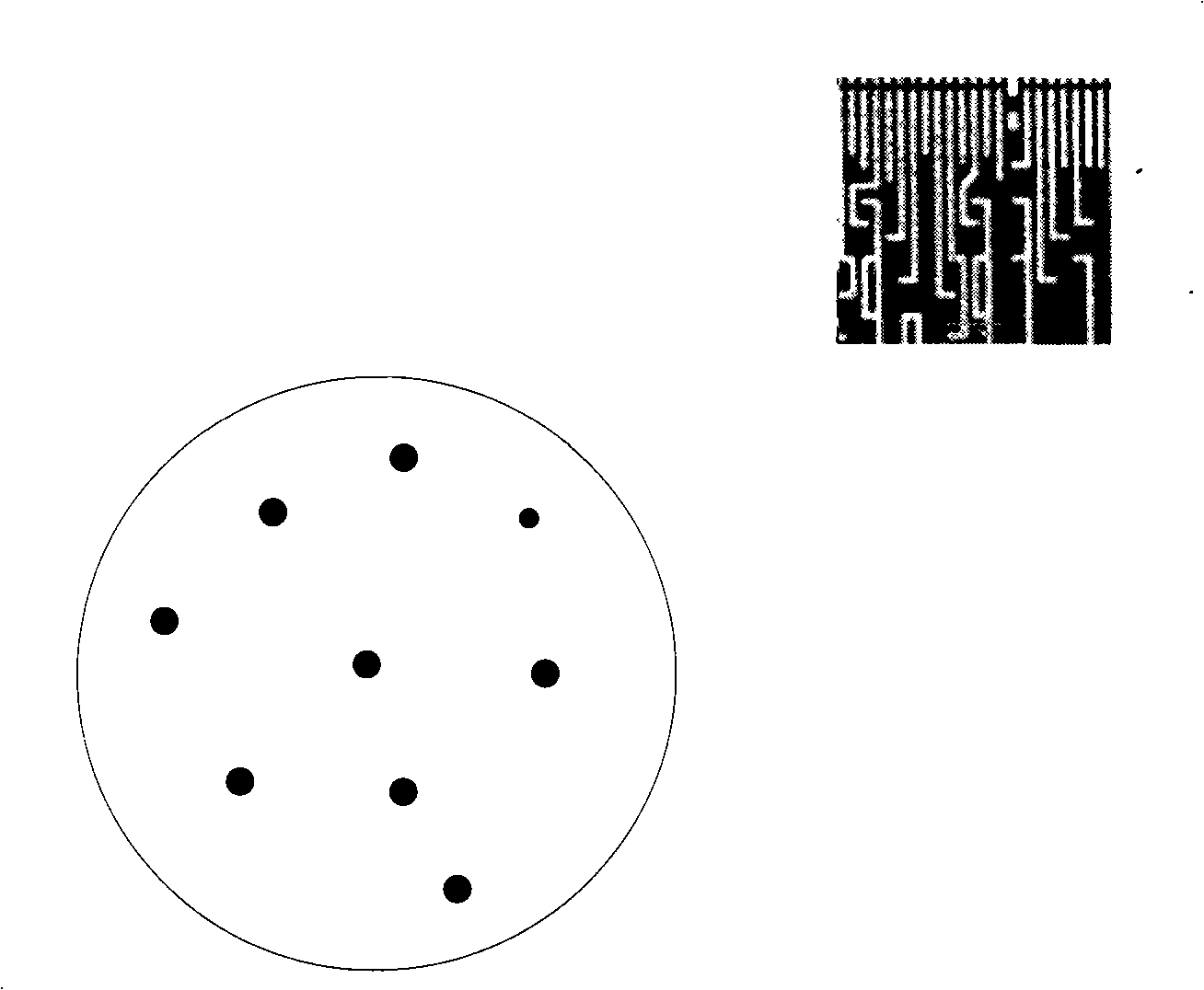 Method for cleaning abnormal residual on wafer rear surface after Cu CMP procedure