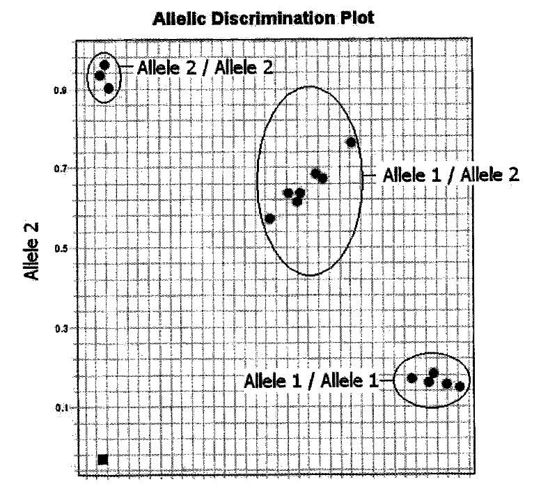 HPA allelic gene typing detection reagent kit