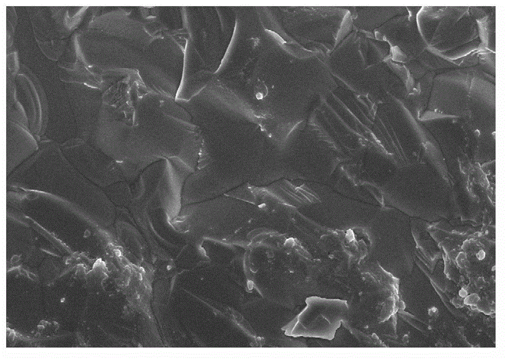 Zinc oxide-carbonate co-doped cerium barium zirconate proton conductor material and preparation method thereof