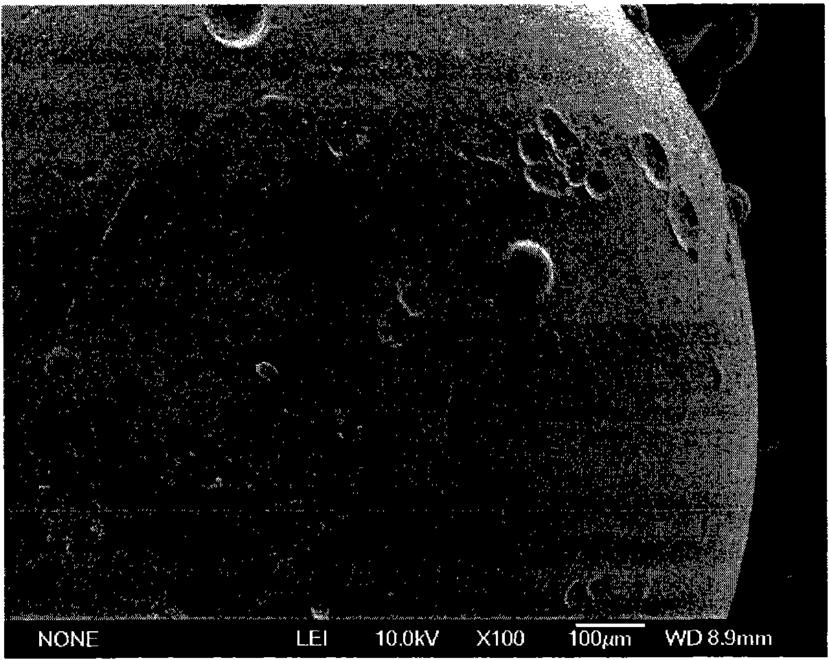 Preparation method and use of millimetre-sized mesoporous carbon spheres