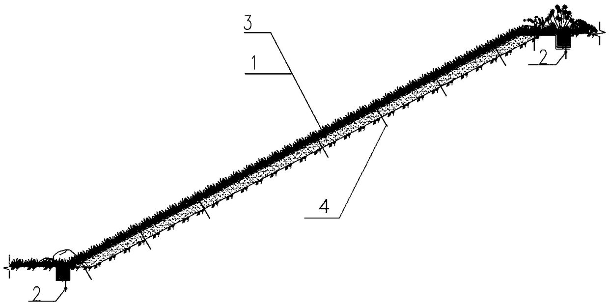 System for side slope soil and water conservation and soil stabilization layer slope protection and paving method