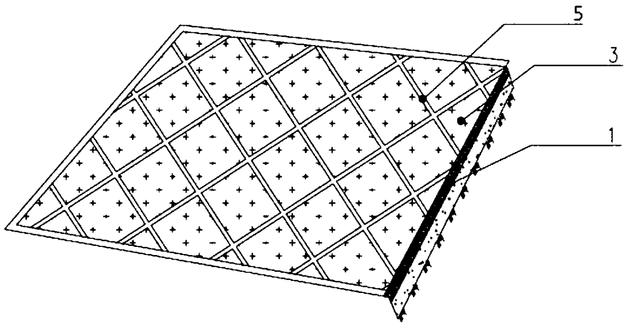 System for side slope soil and water conservation and soil stabilization layer slope protection and paving method