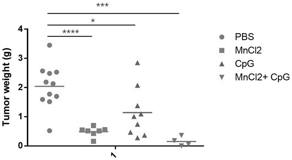 Preparation method and application of manganese ion-CpG oligonucleotide nanoparticles