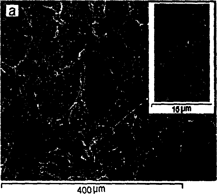 Composite material with capacitance and inductance performance and its preparing method