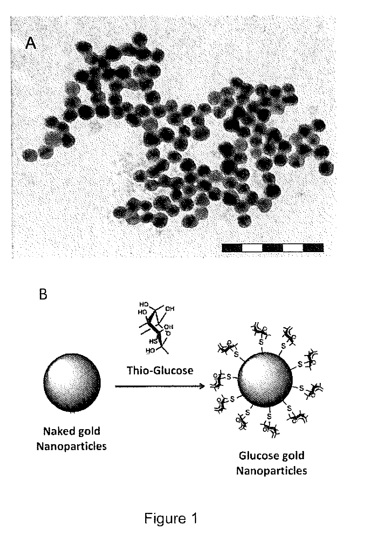 Targeted nanoparticles for cancer diagnosis and treatment