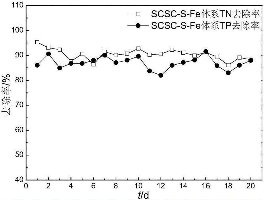 Reclaimed water deep denitrification and dephosphorization method based on low C/N ratio