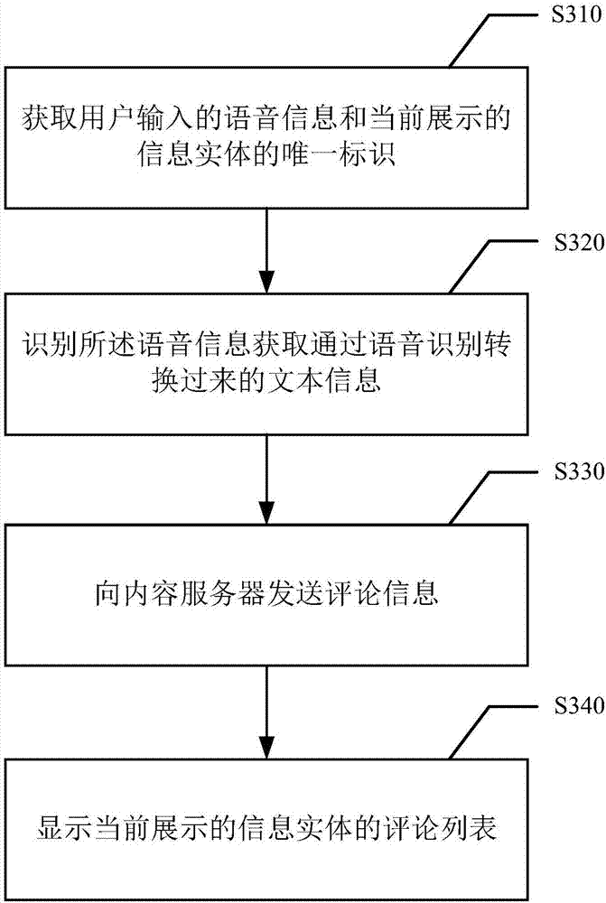 Method and electronic equipment for conducting voice comment on information entity