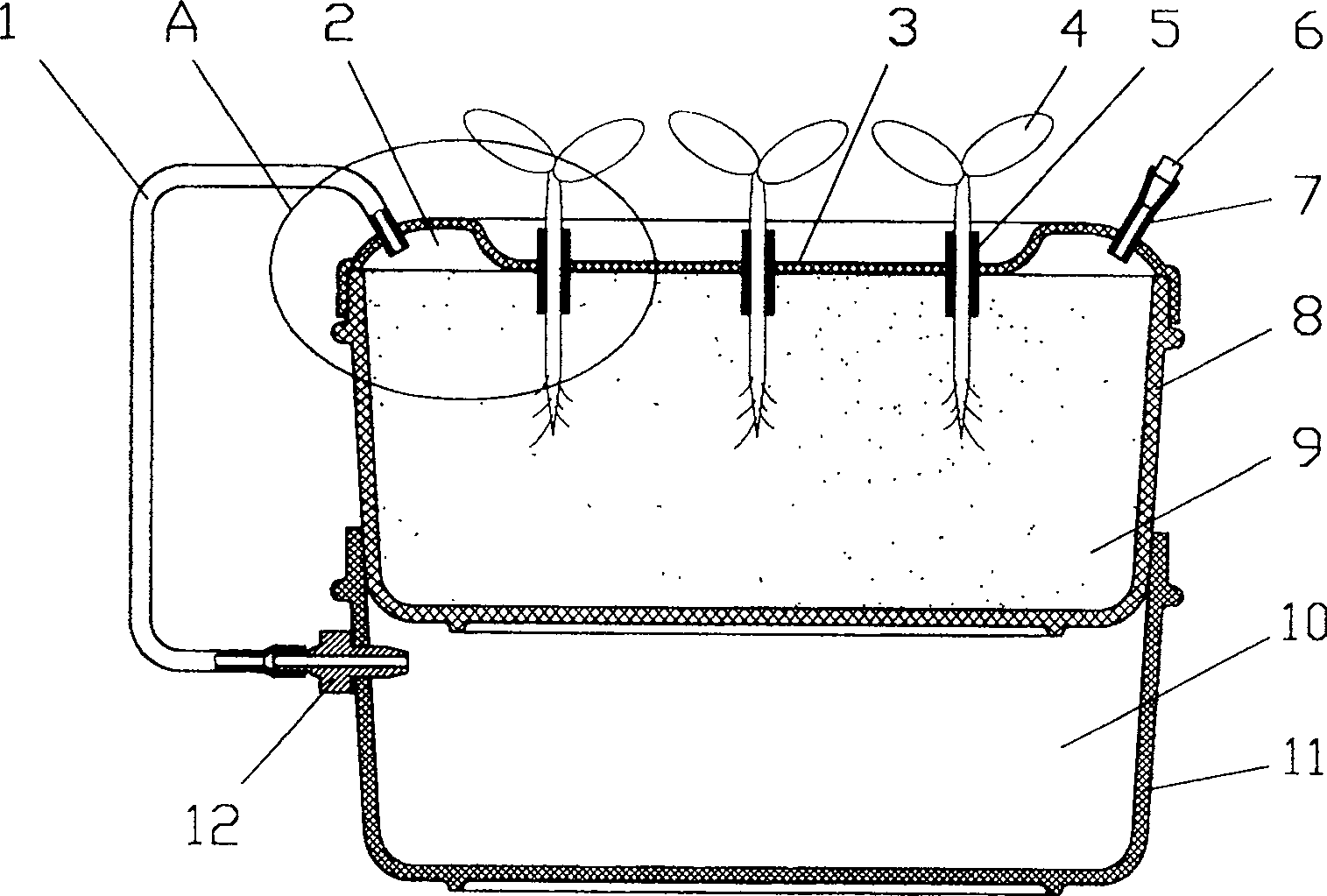 Method and device for determining plant transpiration efficiency precisely