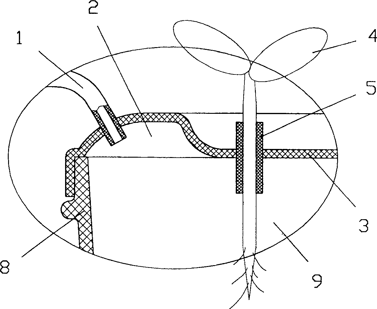 Method and device for determining plant transpiration efficiency precisely