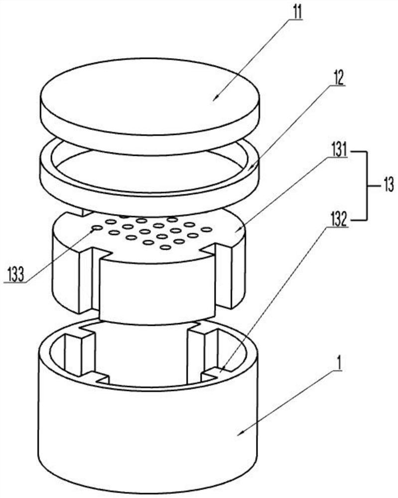 Device and method for in situ micro-area isotope dating