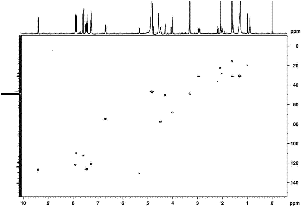 Compounds with anti-tumor activity as well as preparation method and application of compounds