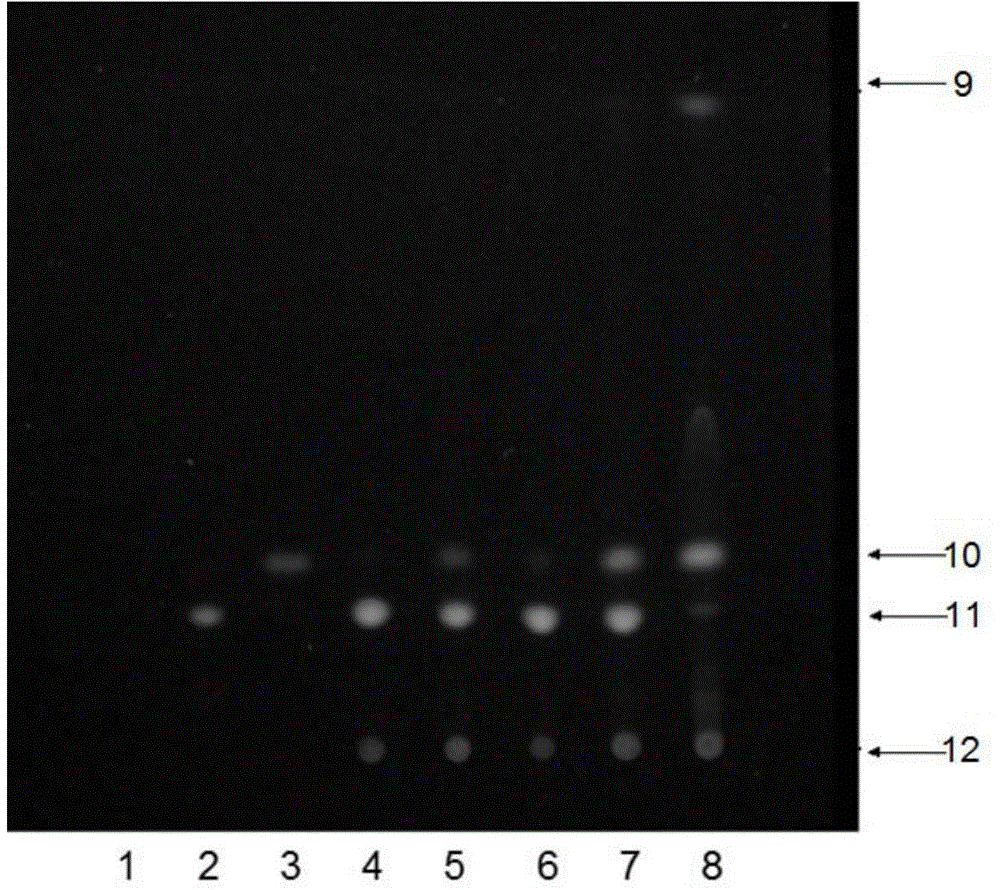 Method for discriminating cordyceps sinensis storage time