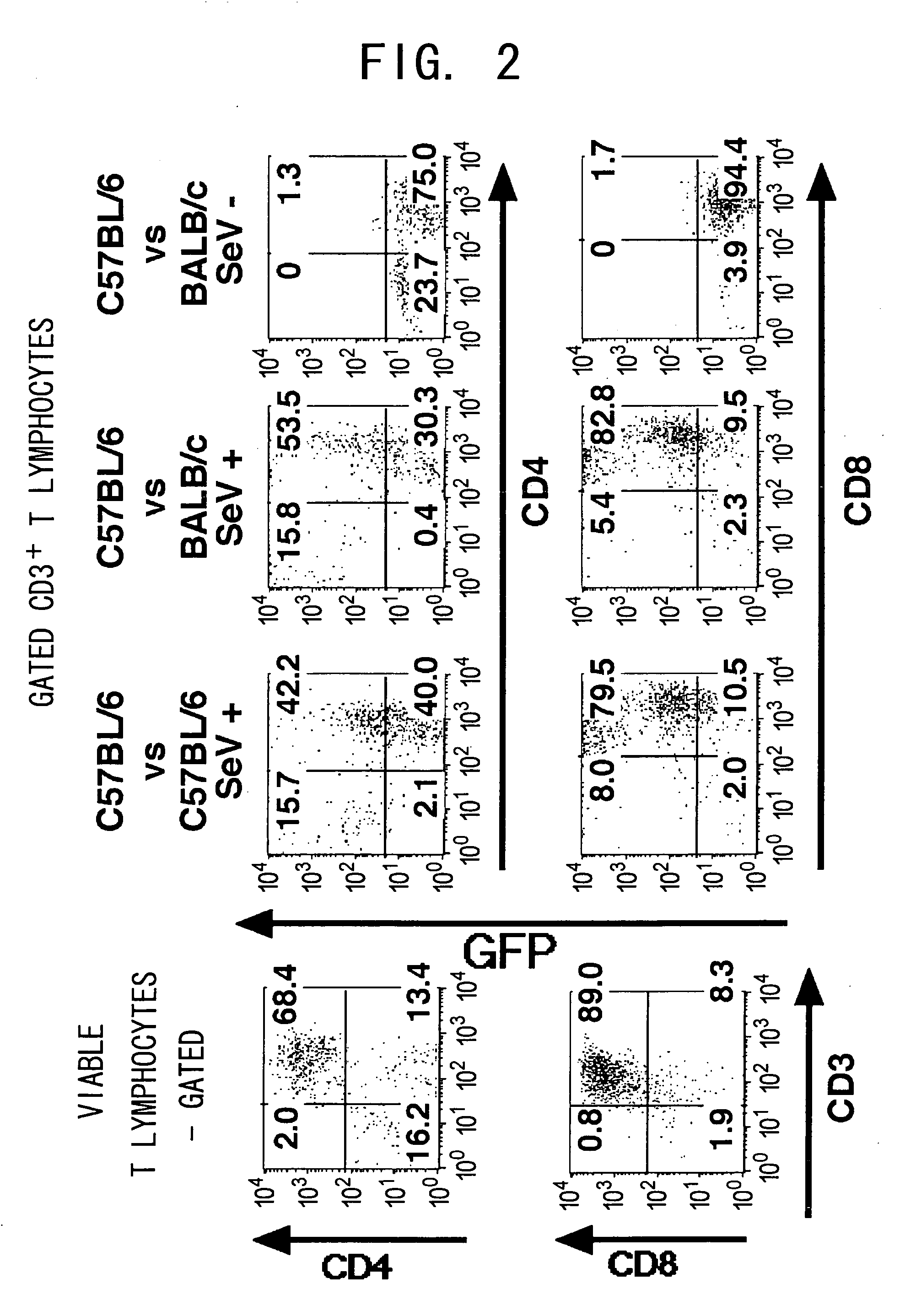 Methods of Tranducing genes into T cells