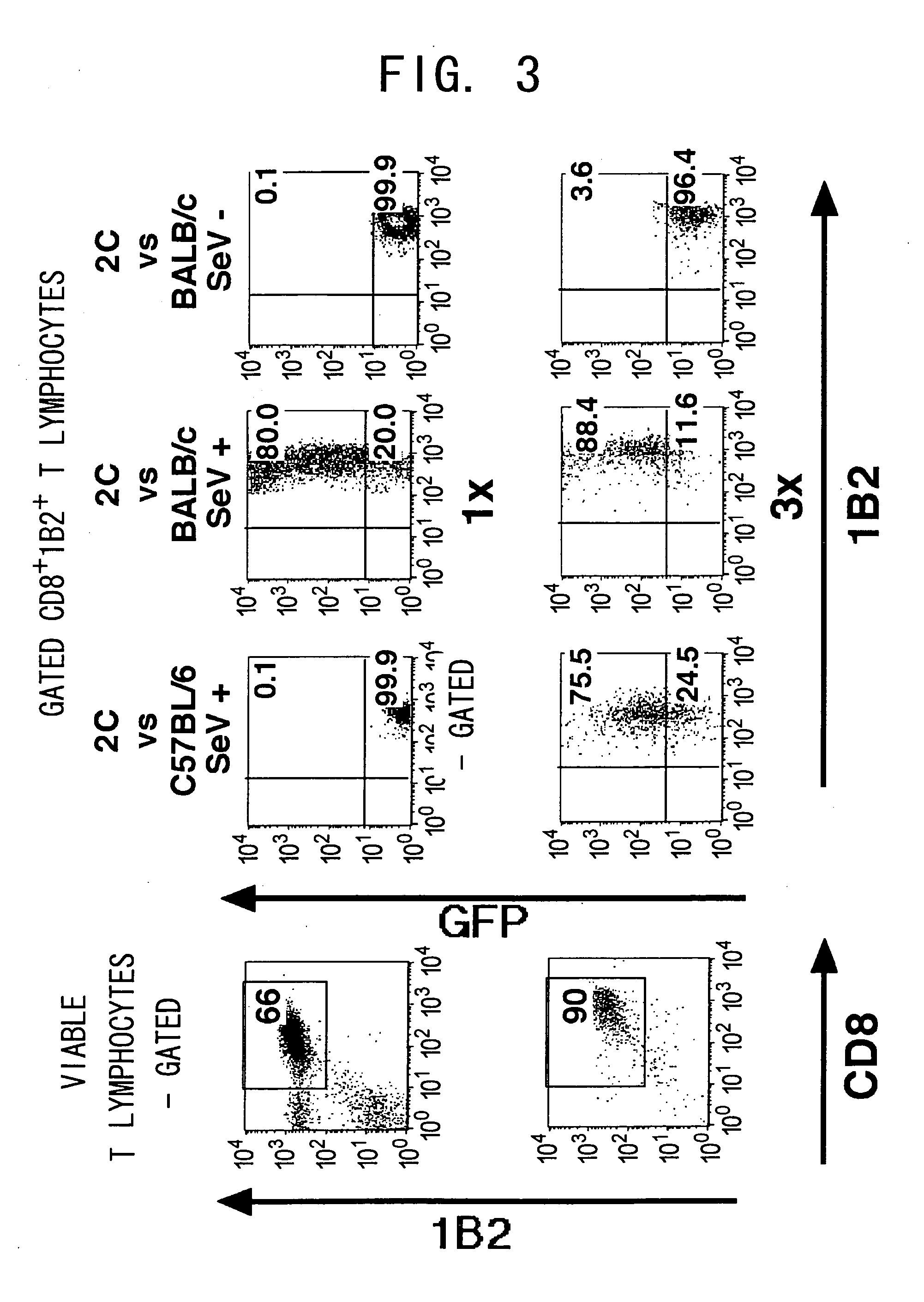 Methods of Tranducing genes into T cells