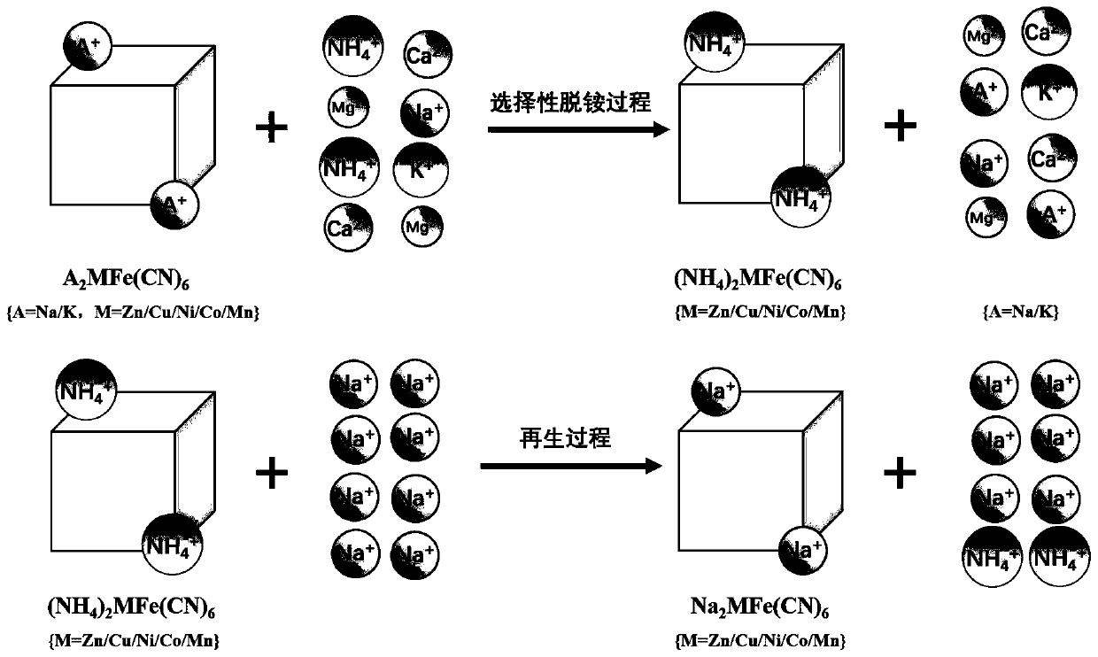 Preparation method of Prussian blue compound deammonization material and application in deammonization of sewage