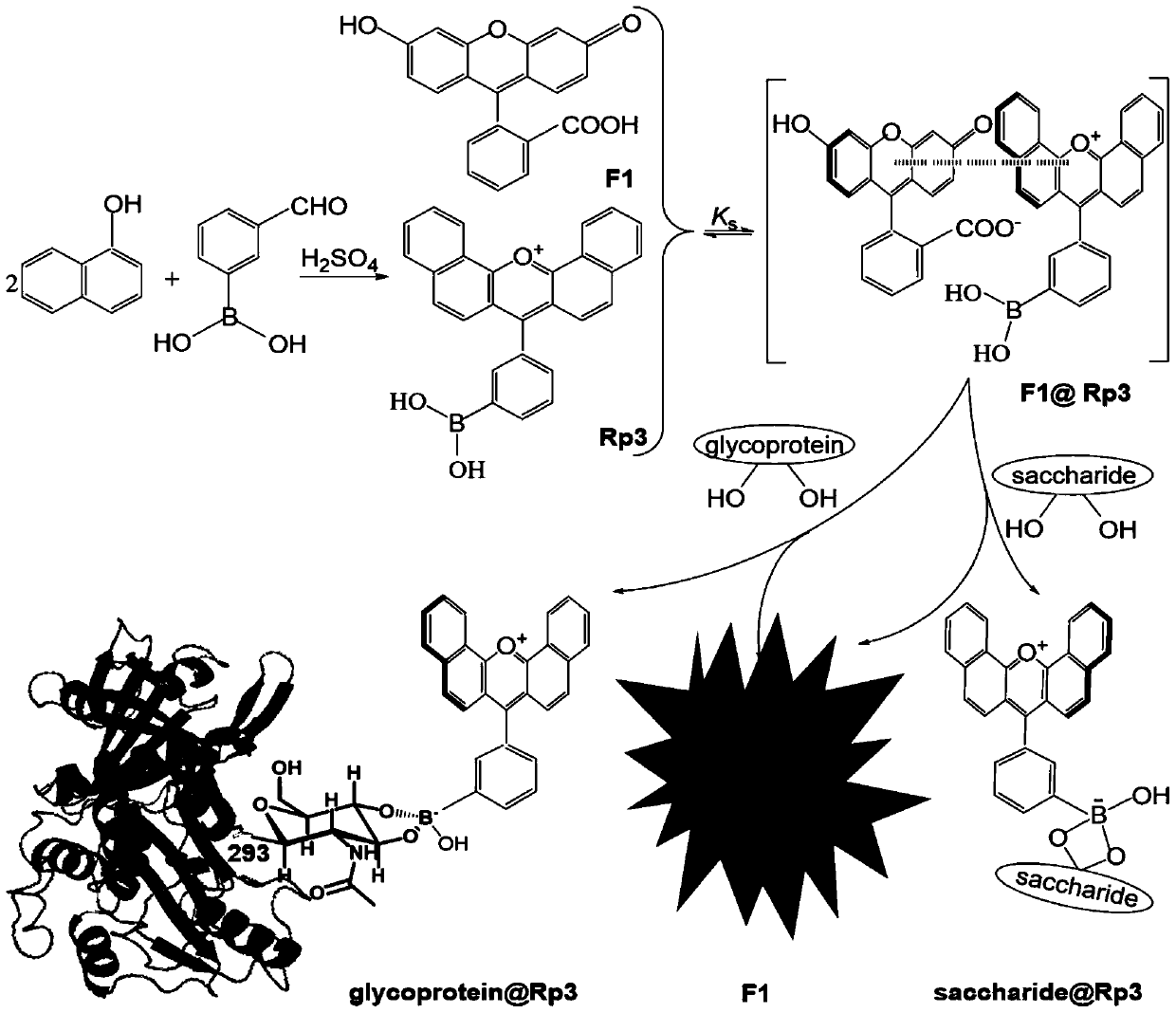 Fluorescent Velocity Sensing Method for Quantitative Detection of Glycosylated Proteins