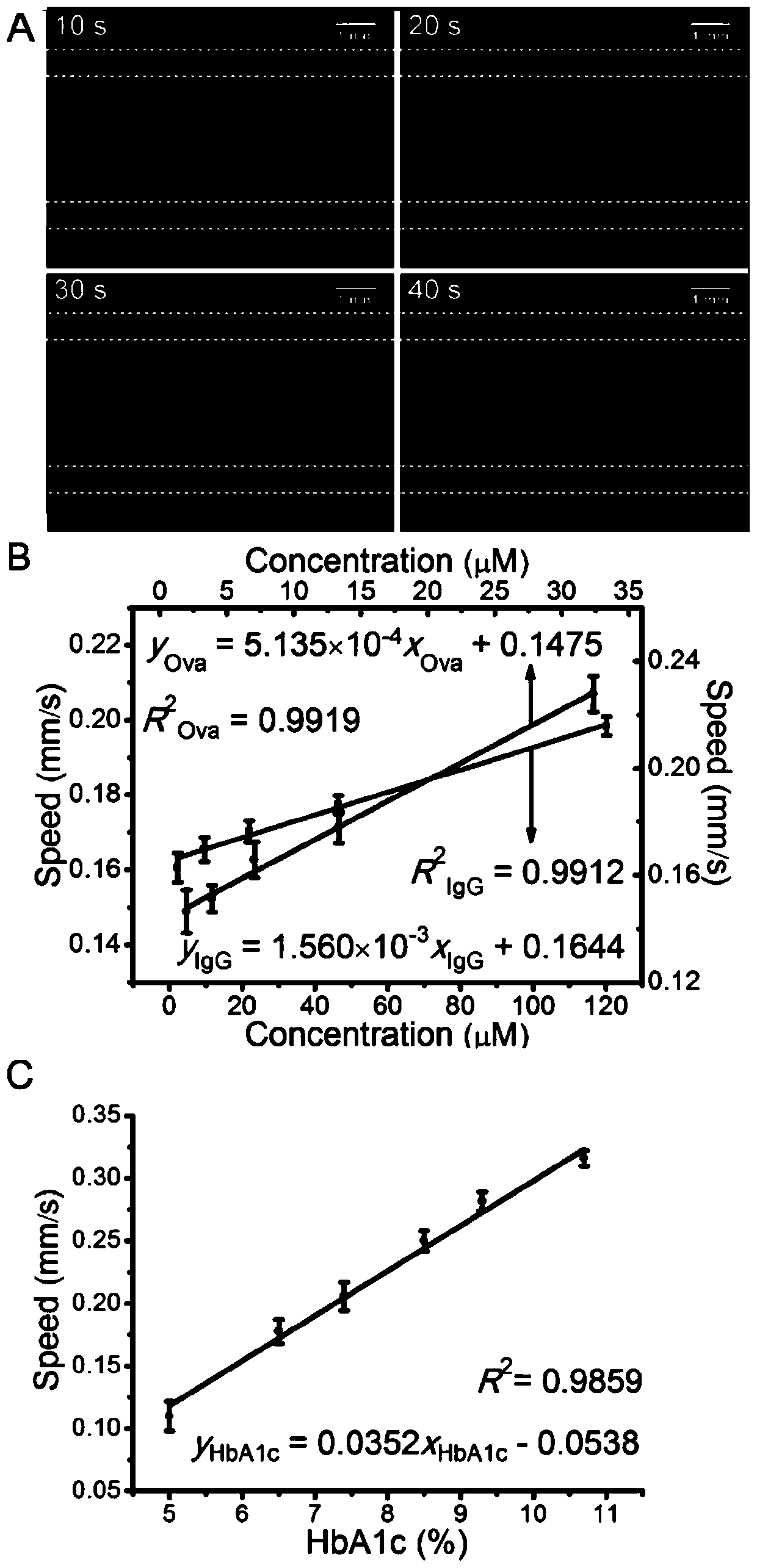 Fluorescent Velocity Sensing Method for Quantitative Detection of Glycosylated Proteins